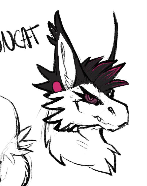 Anthro Aesthetic