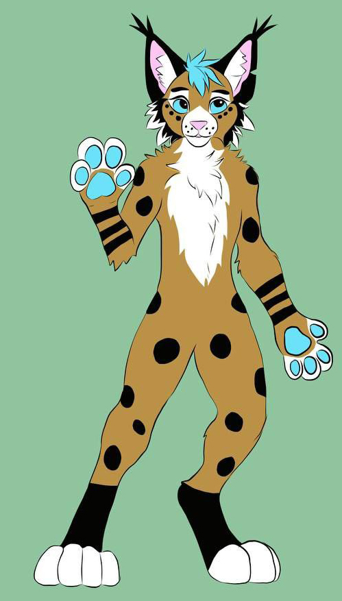 Anthro Aesthetic